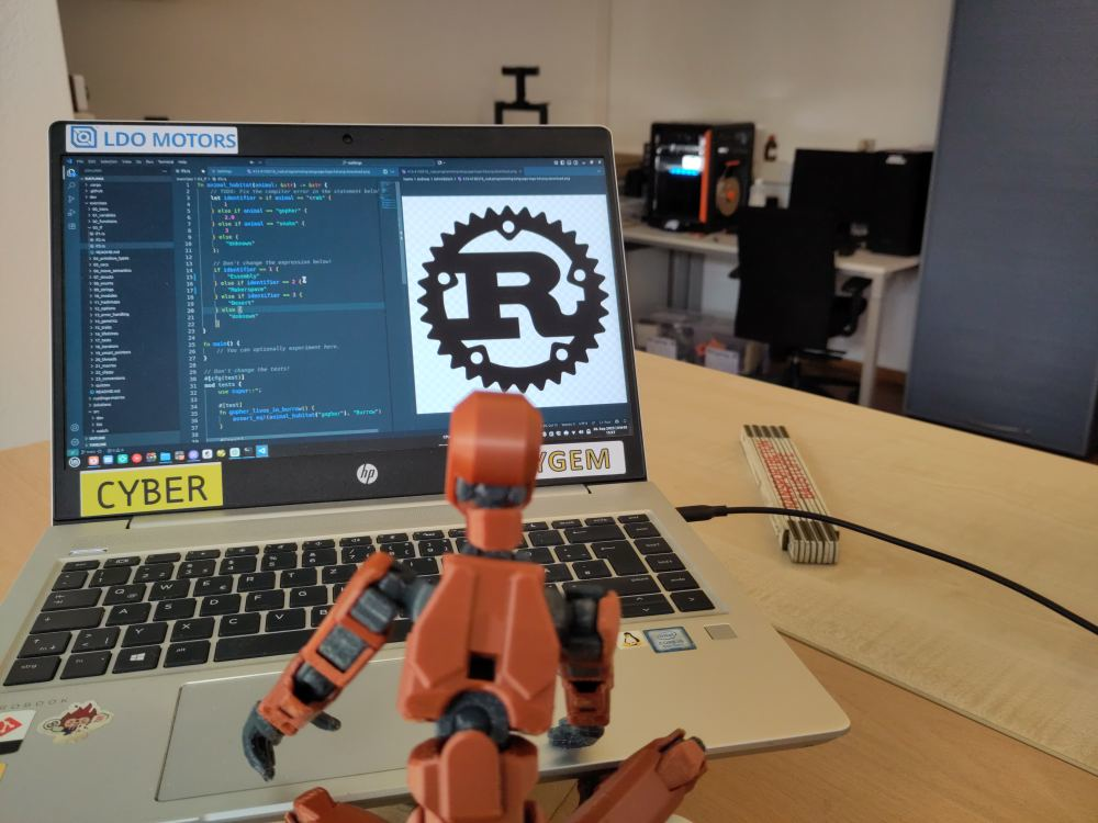 Rust Dummy13